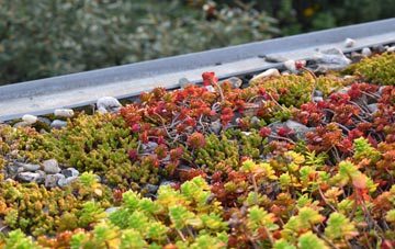 the cost of Linklater green roof installation