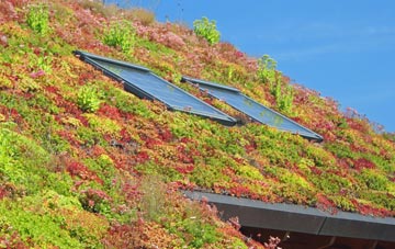 Linklater living roof systems